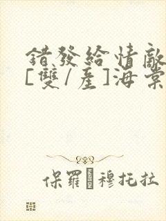 错发给情敌之后[双/产]海棠