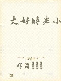 大好时光小说