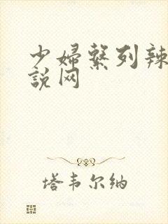 少妇系列辣文小说网