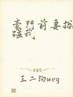 豪门前妻总裁别碰我