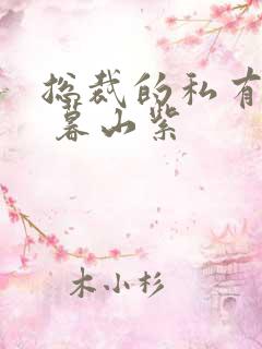 总裁的私有宝贝 暮山紫