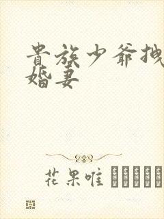 贵族少爷拽拽未婚妻