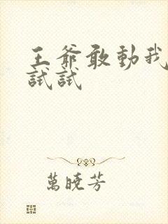 王爷敢动我妈咪试试