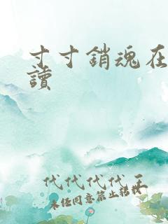 寸寸销魂在线阅读