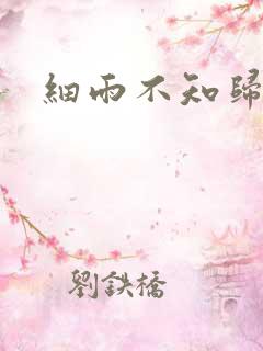 细雨不知归