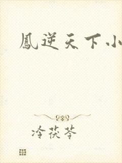 凤逆天下小说