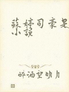 苏婷司豪是什么小说