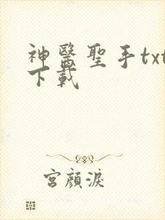 神医圣手txt下载