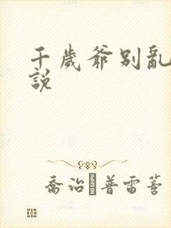 千岁爷别乱来小说