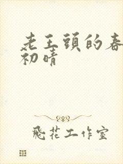 老王头的春天林初晴