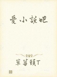爱小说吧