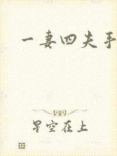 一妻四夫手记