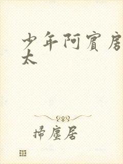 少年阿宾房东太太