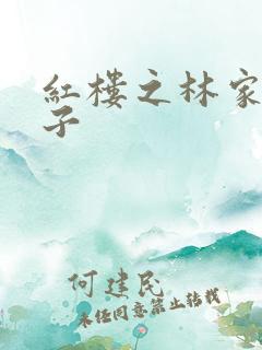 红楼之林家庶长子