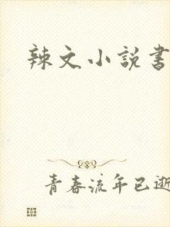 辣文小说书包网