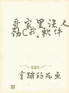 哥家里没人使点劲C我软件