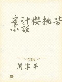 蜜汁樱桃苦咖啡小说