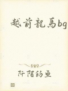 越前龙马bg