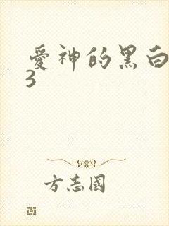 爱神的黑白羽翼3