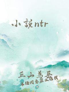 小说ntr