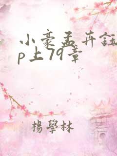 小豪孟卉钰慧三p上79章