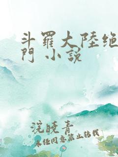 斗罗大陆绝世唐门 小说