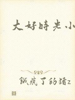 大好时光小说