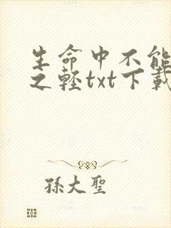 生命中不能承受之轻txt下载