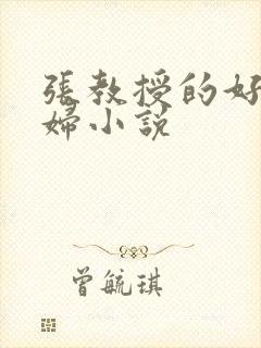 张教授的好儿媳妇小说