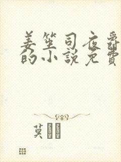 姜笙司夜爵顾念的小说免费阅读