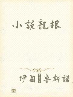 小说龙根