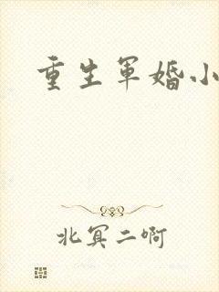 重生军婚小媳妇