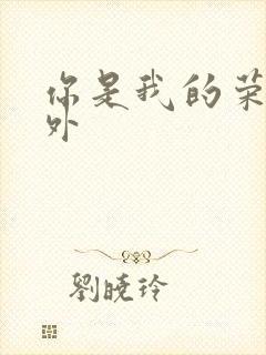 你是我的荣耀番外