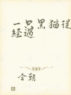 一只黑猫从眼前经过