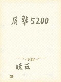 盾击5200