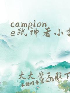 campione弑神者小说