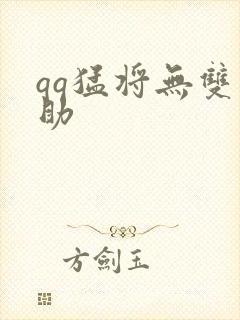 qq猛将无双辅助