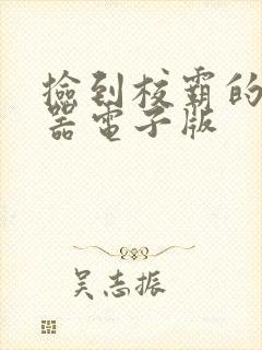 捡到校霸的遥控器电子版