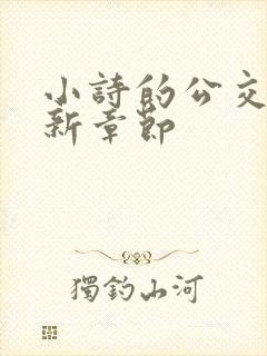 小诗的公交车最新章节