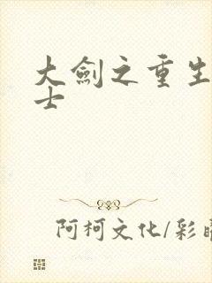 大剑之重生圣骑士