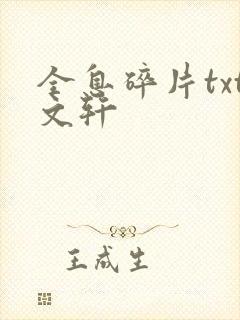 全息碎片txt文轩