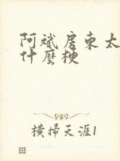 阿斌房东太太是什么梗