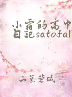 小霜的高中成长日记satofall