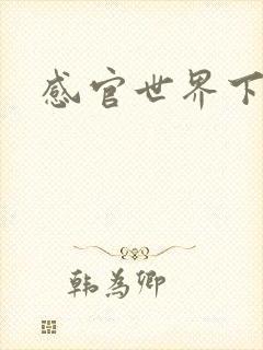 感官世界下载