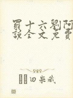 罗十六刘阿婆小说全文免费阅读
