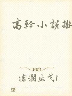 高干小说排行榜