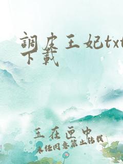 调皮王妃txt下载
