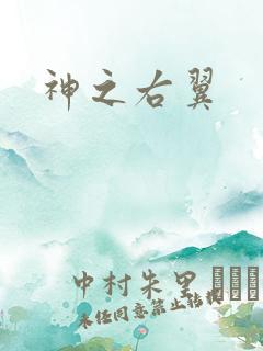 神之右翼