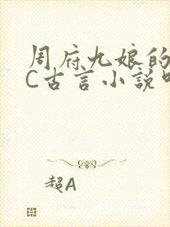 周府九娘的NPC古言小说叫什么