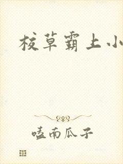 校草霸上小丫头